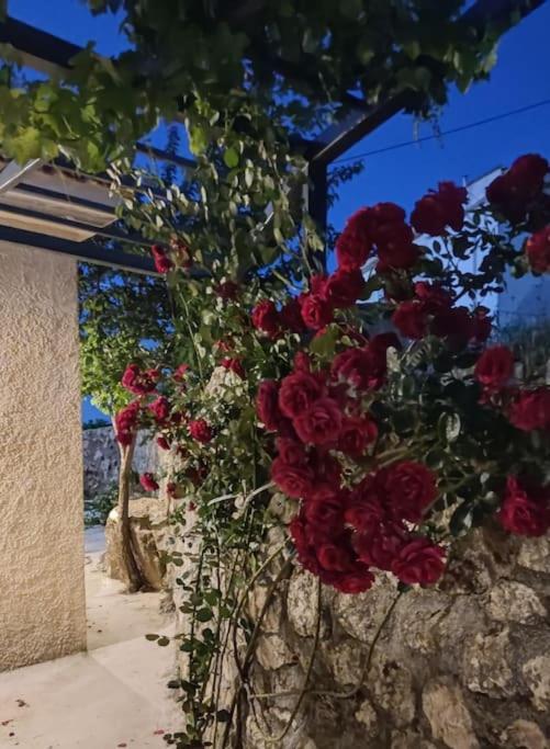 Villa Aiolia Kondoyenadha Ngoại thất bức ảnh